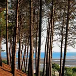 Hébergement de vacances Rénovée S/mer: 4 Chambres, Jardin, Terrasse, Cuisine D'été, Proche Dune Du Pilat, Parkings - Fr-1-420-81 Pyla-sur-Mer