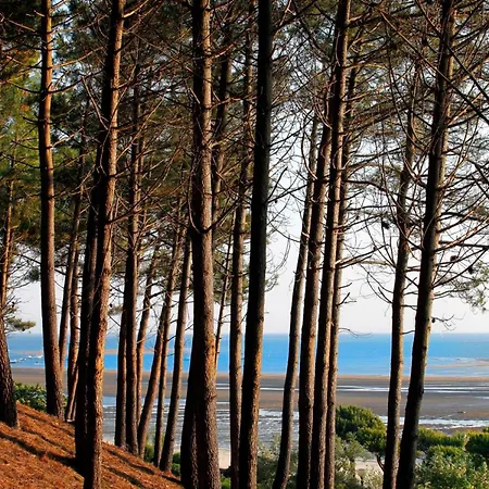 Casa vacanze Rénovée S/mer: 4 Chambres, Jardin, Terrasse, Cuisine D'été, Proche Dune Du Pilat, Parkings - Fr-1-420-81 Pyla-sur-Mer