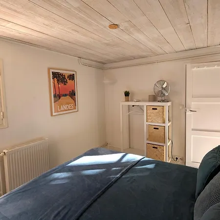 Ferienhaus Renovee S/mer: 4 Chambres, Jardin, Terrasse, Cuisine D'ete, Proche Dune Du Pilat, Parkings - Fr-1-420-81 Pyla-sur-Mer